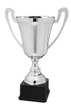 Stříbrný sportovní pohár 48 cm