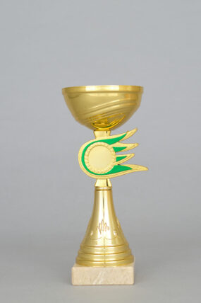 Zlatý sportovní pohár se zlato - zeleným středem 16 - 28 cm - 21 cm
