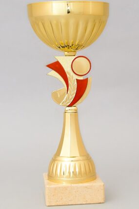 Zlatý sportovní pohár se zlato - červeným středem 23 - 29 cm - 29 cm