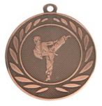 Medaile průměr 50 mm - karate - Bronzová