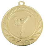 Medaile průměr 50 mm - karate