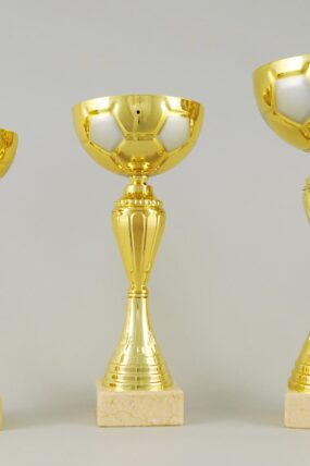 Zlatý fotbalový pohár 25 - 31 cm