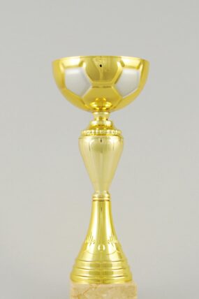 Zlatý fotbalový pohár 25 - 31 cm - 25 cm