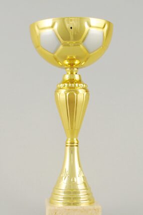 Zlatý fotbalový pohár 25 - 31 cm - 28 cm