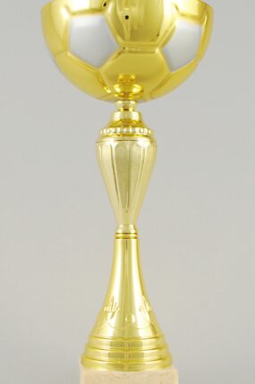 Zlatý fotbalový pohár 25 - 31 cm - 31 cm