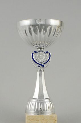 Stříbrný sportovní pohár 19 cm - 25 cm - 25 cm