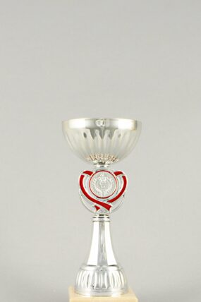 Stříbrný sportovní pohár se srdcem 19 cm - 25 cm - 19 cm