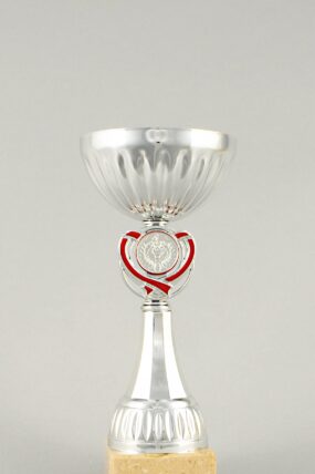 Stříbrný sportovní pohár se srdcem 19 cm - 25 cm - 22,5 cm