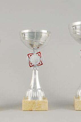 Stříbrný sportovní pohár 21 cm - 26 cm