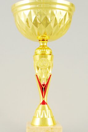 Zlatý sportovní pohár 24 - 33 cm - 31 cm