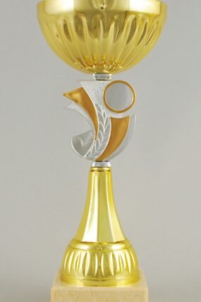 Zlatý sportovní pohár 23 - 28 cm - 28 cm
