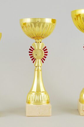 Zlatý sportovní pohár 21,5 - 27,5 cm