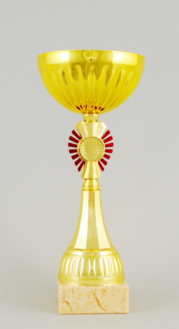 Zlatý sportovní pohár 21,5 - 27,5 cm - Image 4