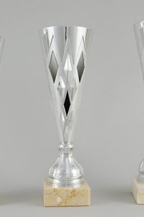 Stříbrný sportovní pohár kornout 27 - 30 cm
