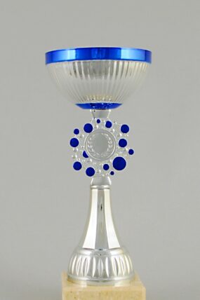 Stříbrnomodrý sportovní pohár 22 - 27,5 cm - 24 cm