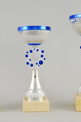 Stříbrnomodrý sportovní pohár 22 - 27,5 cm