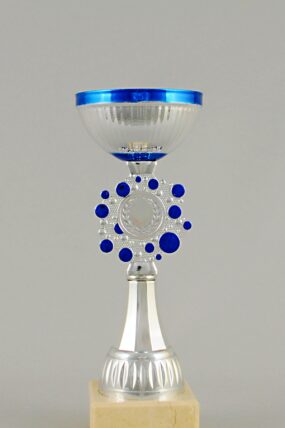 Stříbrnomodrý sportovní pohár 22 - 27,5 cm - 22 cm
