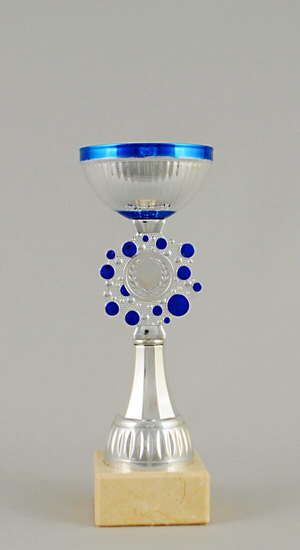 Stříbrnomodrý sportovní pohár 22 - 27,5 cm - Image 2