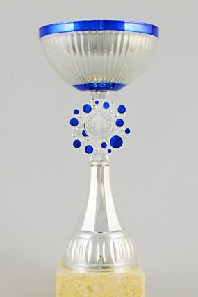 Stříbrnomodrý sportovní pohár 22 - 27,5 cm - 27,5 cm