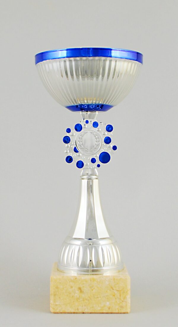 Stříbrnomodrý sportovní pohár 22 - 27,5 cm - Image 4