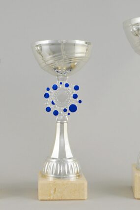 Stříbrnomodrý sportovní pohár 21,5 - 27 cm