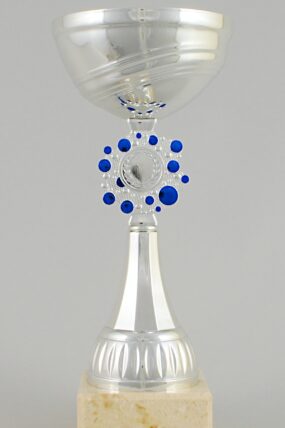 Stříbrnomodrý sportovní pohár 21,5 - 27 cm - 27 cm