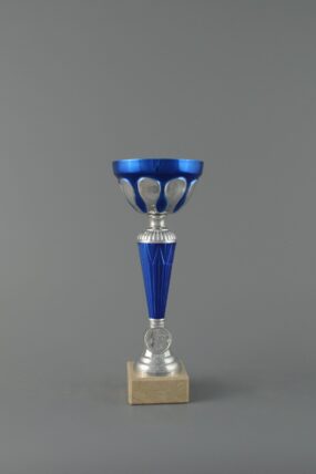Sportovní stříbrno modrý pohár 26 - 31,5 cm