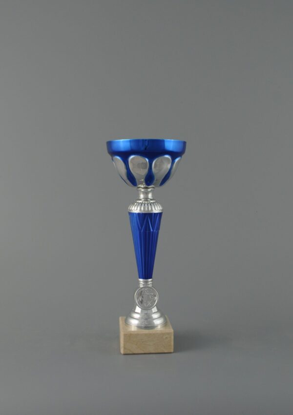 Sportovní stříbrno modrý pohár 26 - 31,5 cm