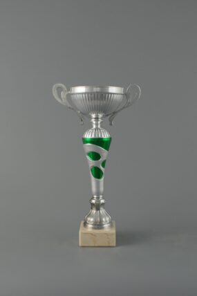 Sportovní stříbrno zelený pohár s uchy 26,5 - 33,5 cm