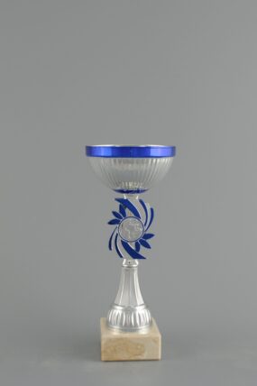 Sportovní stříbrno modrý pohár 20 - 26 cm