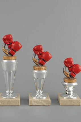 Trofej - boxerské rukavice 15 - 21 cm