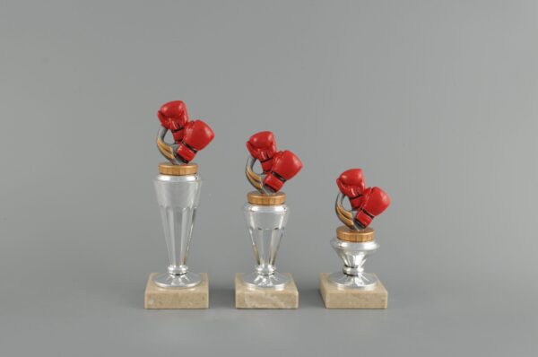 Trofej - boxerské rukavice 15 - 21 cm
