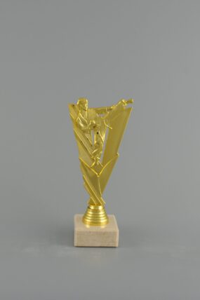 Plaketa zlatá - karate 21 cm