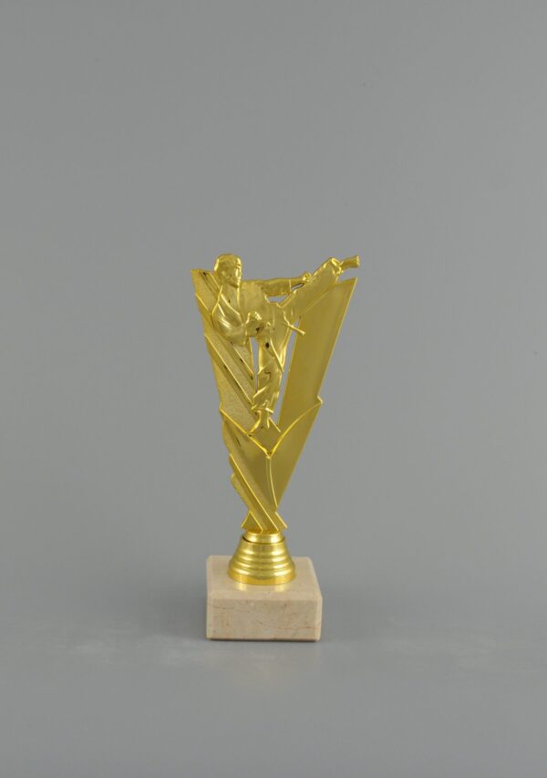 Plaketa zlatá - karate 21 cm