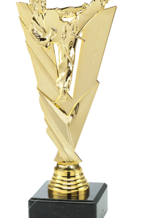 Plaketa zlatá - karate 21 cm