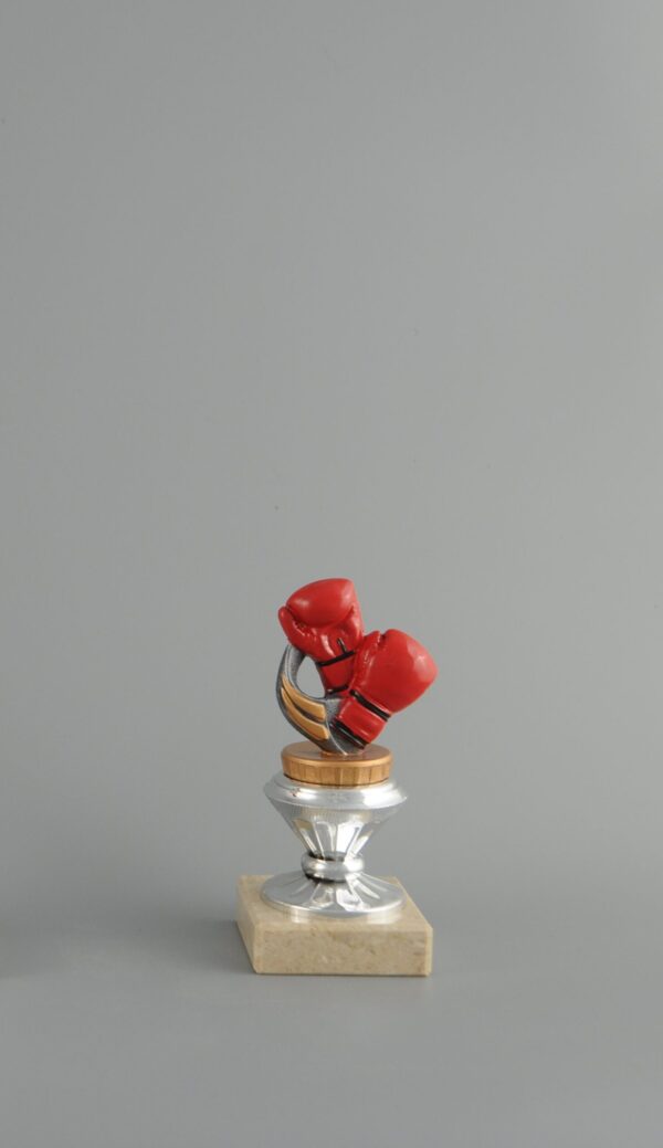 Trofej - boxerské rukavice 15 - 21 cm - Image 4