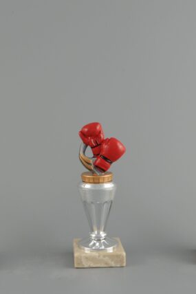 Trofej - boxerské rukavice 15 - 21 cm - 18,5 cm