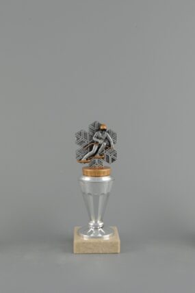 Trofej - lyžař ve vločce 14,5 - 21,5 cm - 18,5 cm