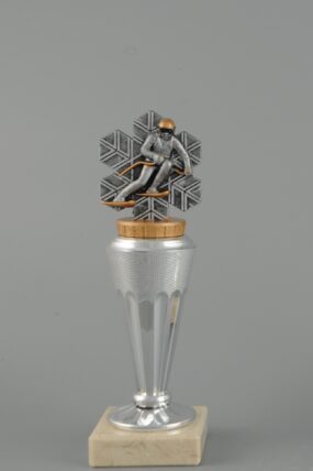 Trofej - lyžař ve vločce 14,5 - 21,5 cm - 21 cm