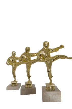 Figurka velká -  karate 23 - 25 cm
